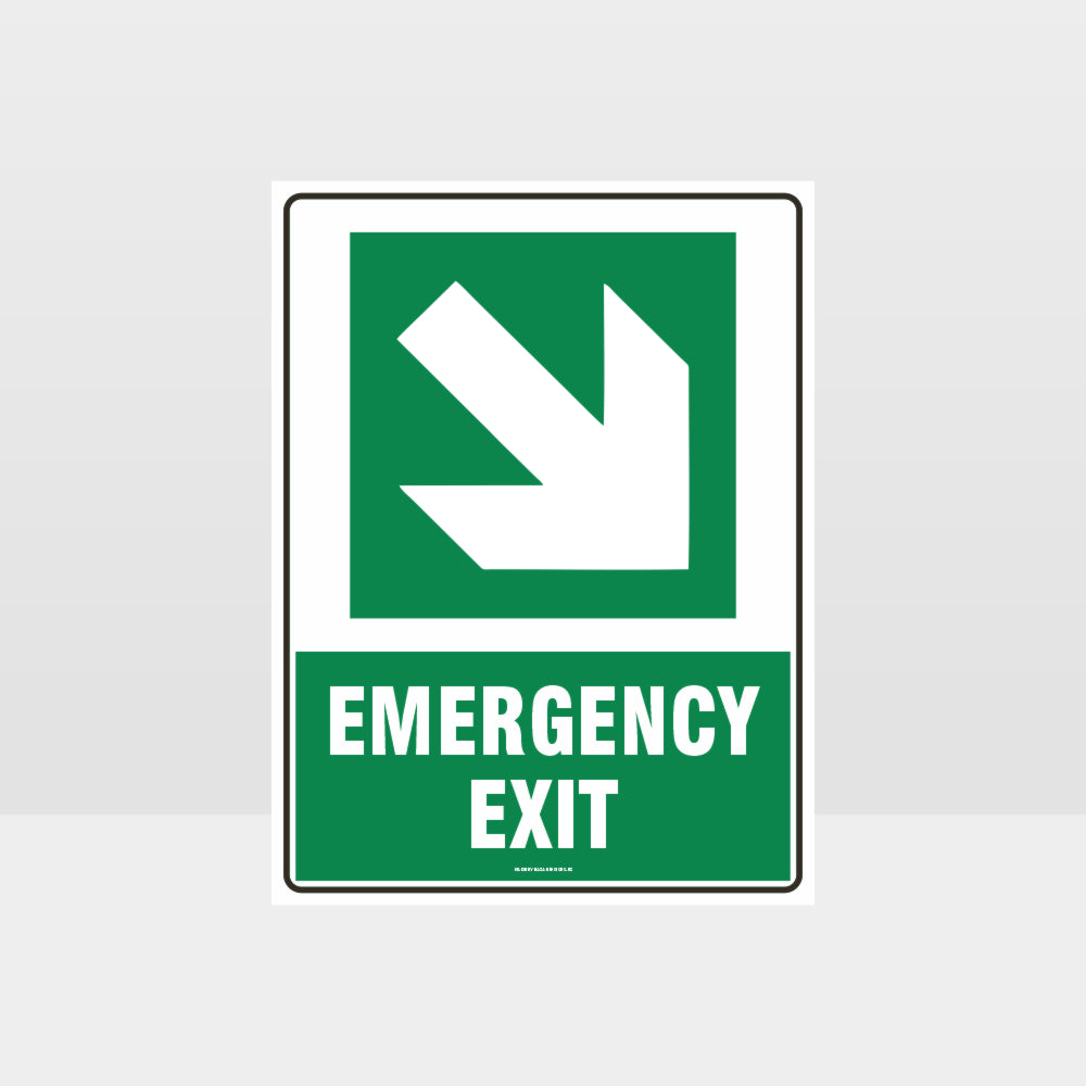 Custom Signs For Business,Emergency Exit Arrow 02 Sign
